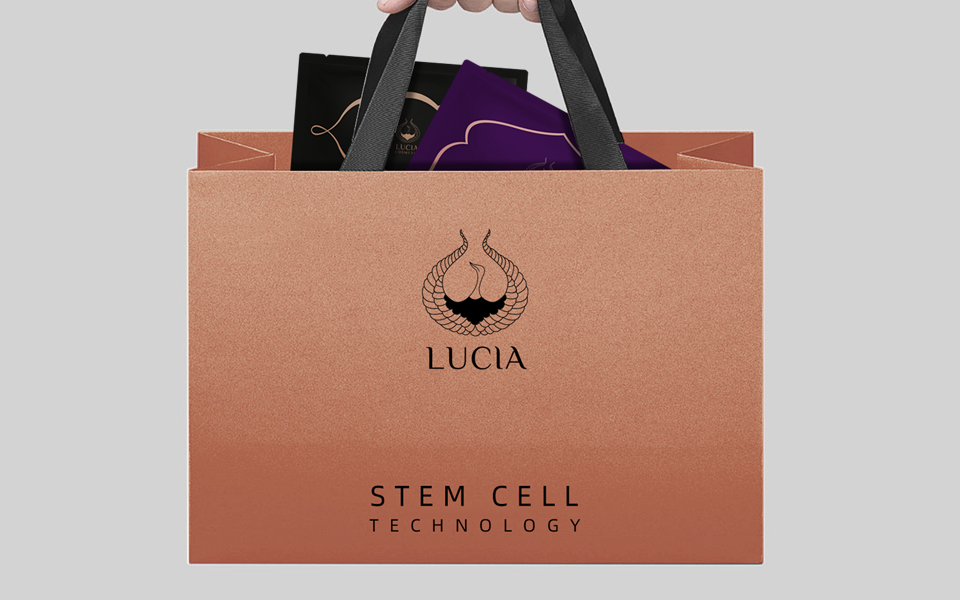 极简致美，笃行致远——宏洛图2026化妆品