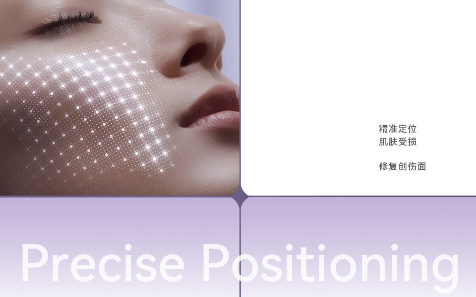 国际 + 本土双语品牌标识设计展示