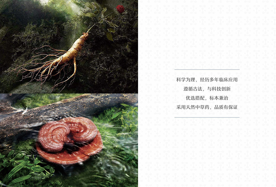 TIANLONGJIUWEI天龙九味册子