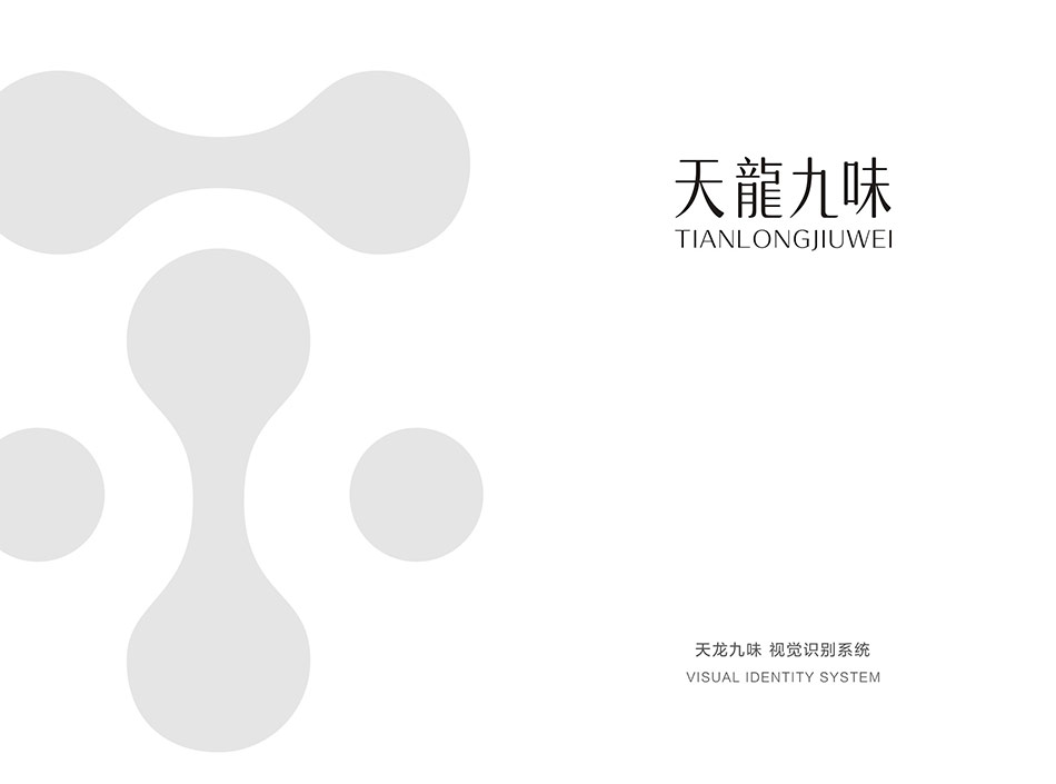 TIANLONGJIUWEI 天龙九味VI