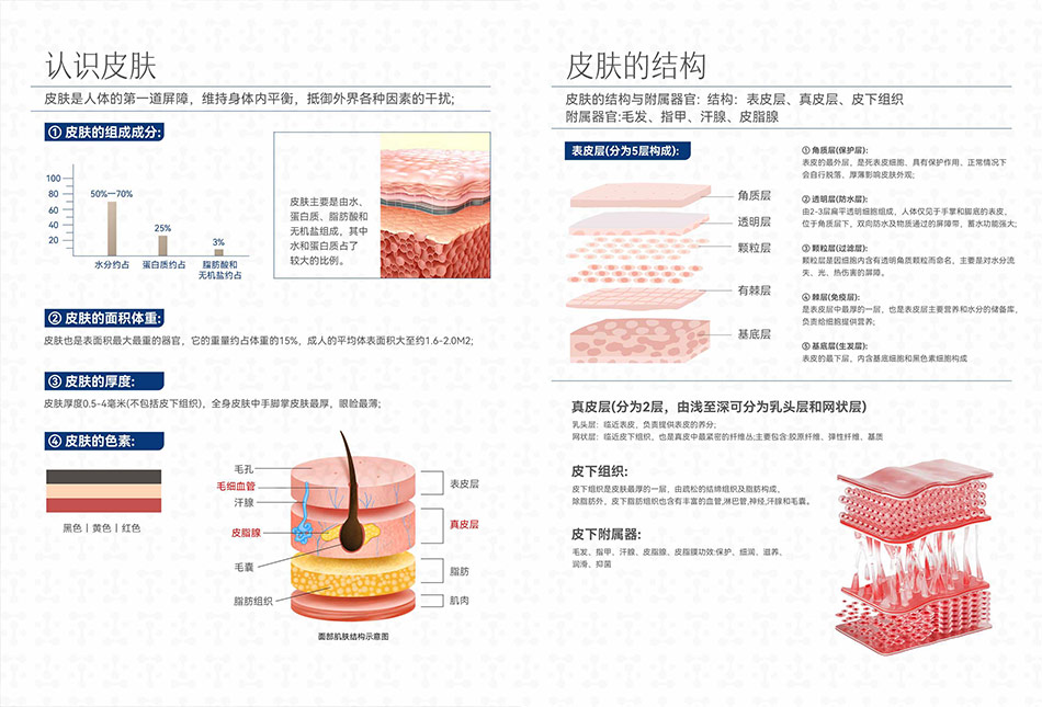 TIANLONGJIUWEI天龙九味册子