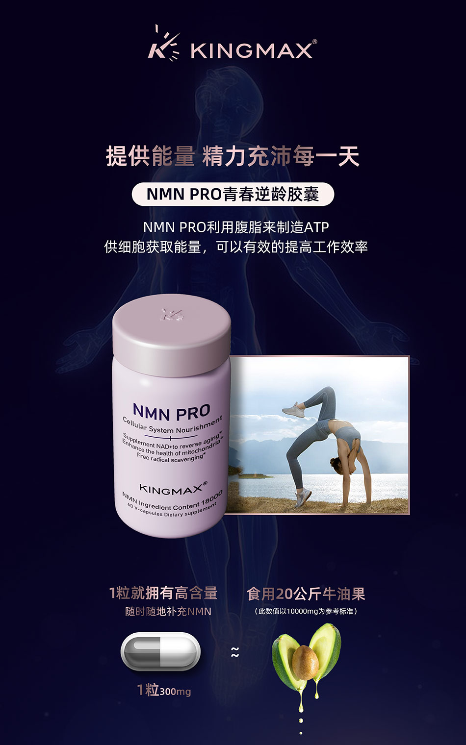 美国保健KINGMAX品牌海报设计-宏洛图品牌设计