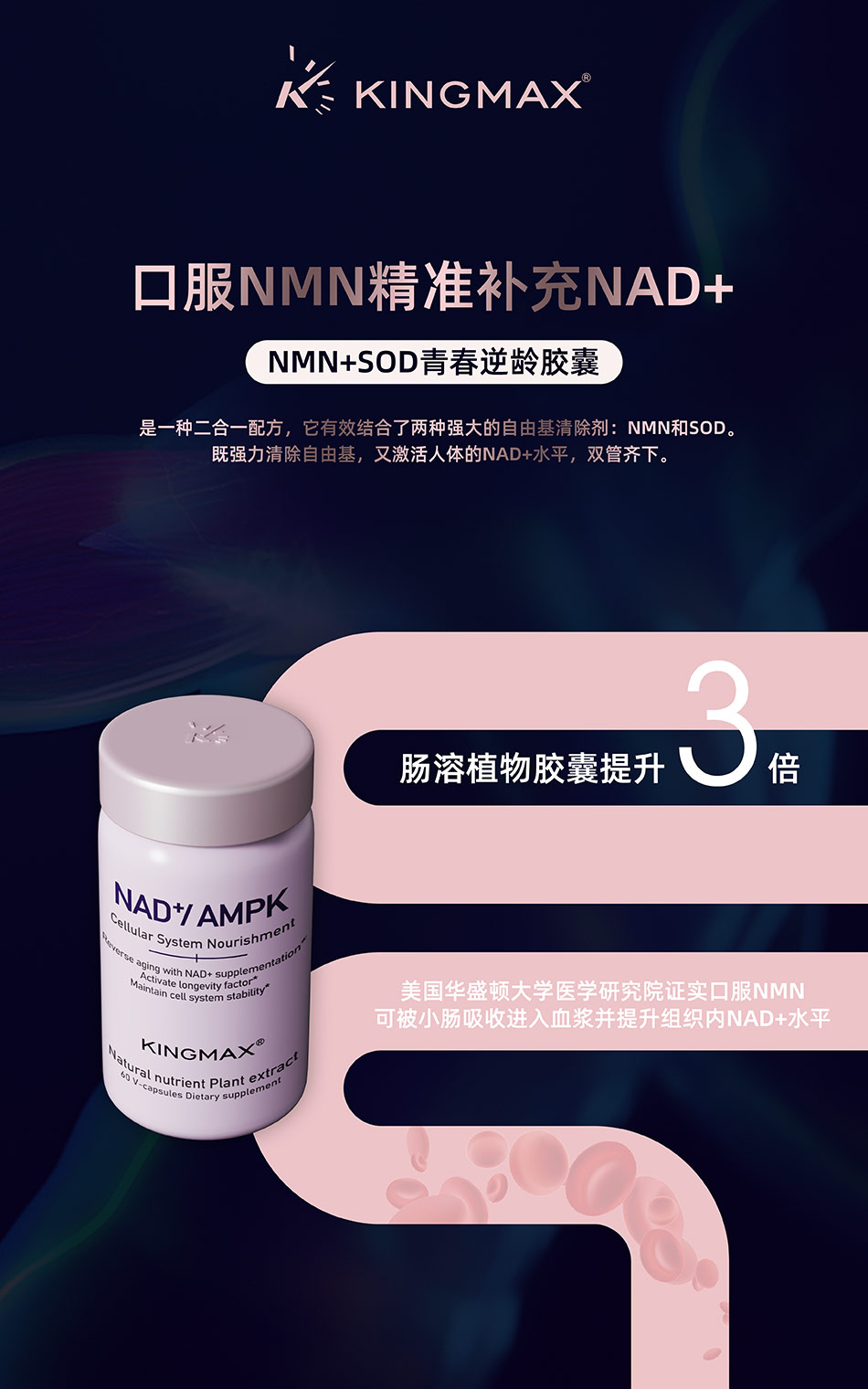 美国保健KINGMAX品牌海报设计-宏洛图品牌设计