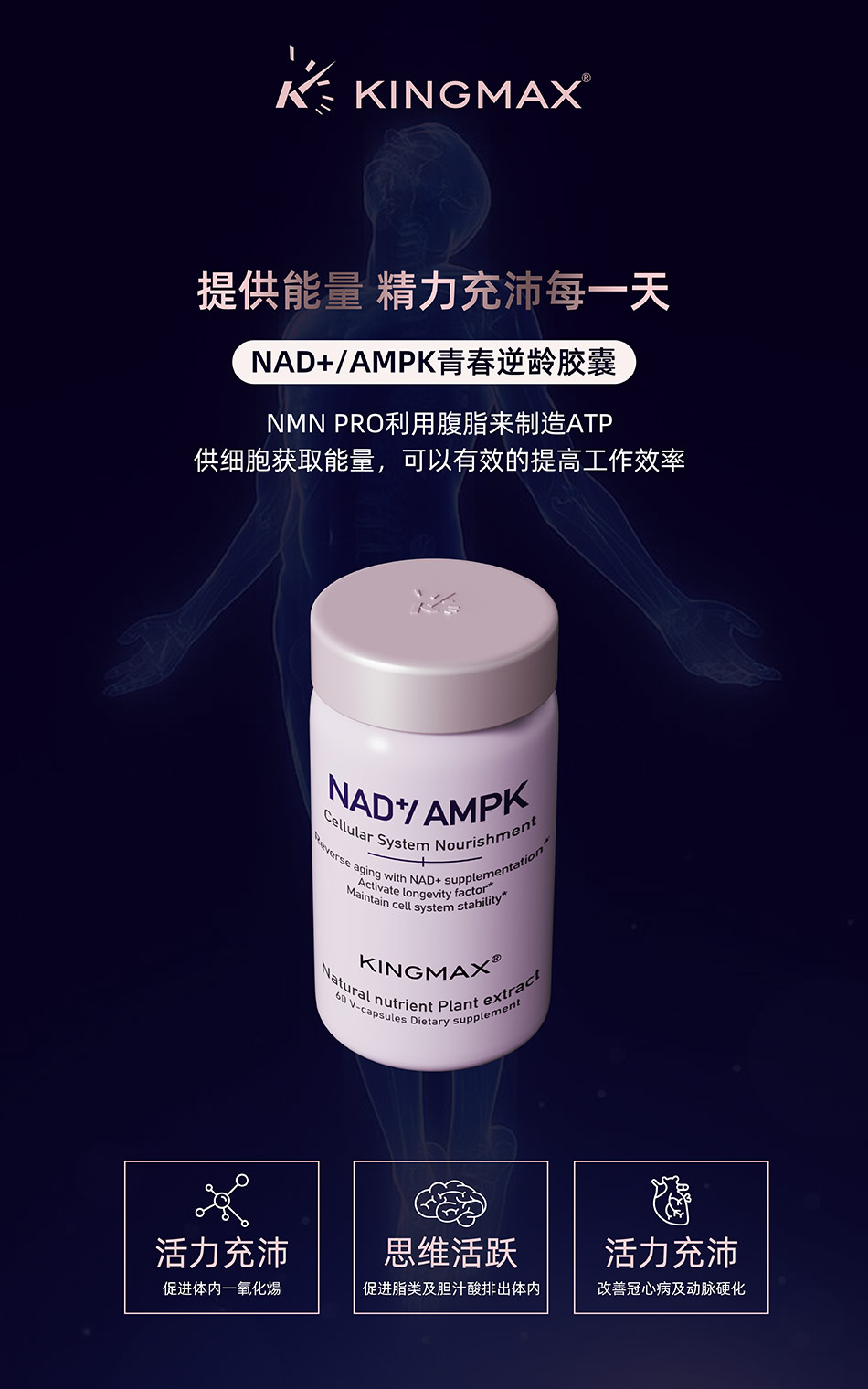 美国保健KINGMAX品牌海报设计-宏洛图品牌设计