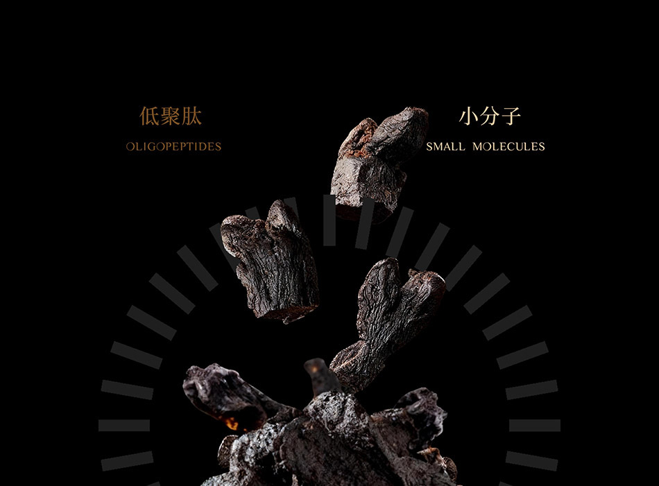 宏洛图原料视觉创意,黄精实拍搭配低聚肽小分子功效文字黑金视觉