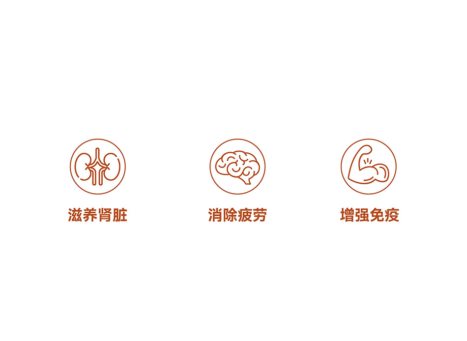 宏洛图|金海龙胶囊功能图标,线性简约风,三大核心功效可视化