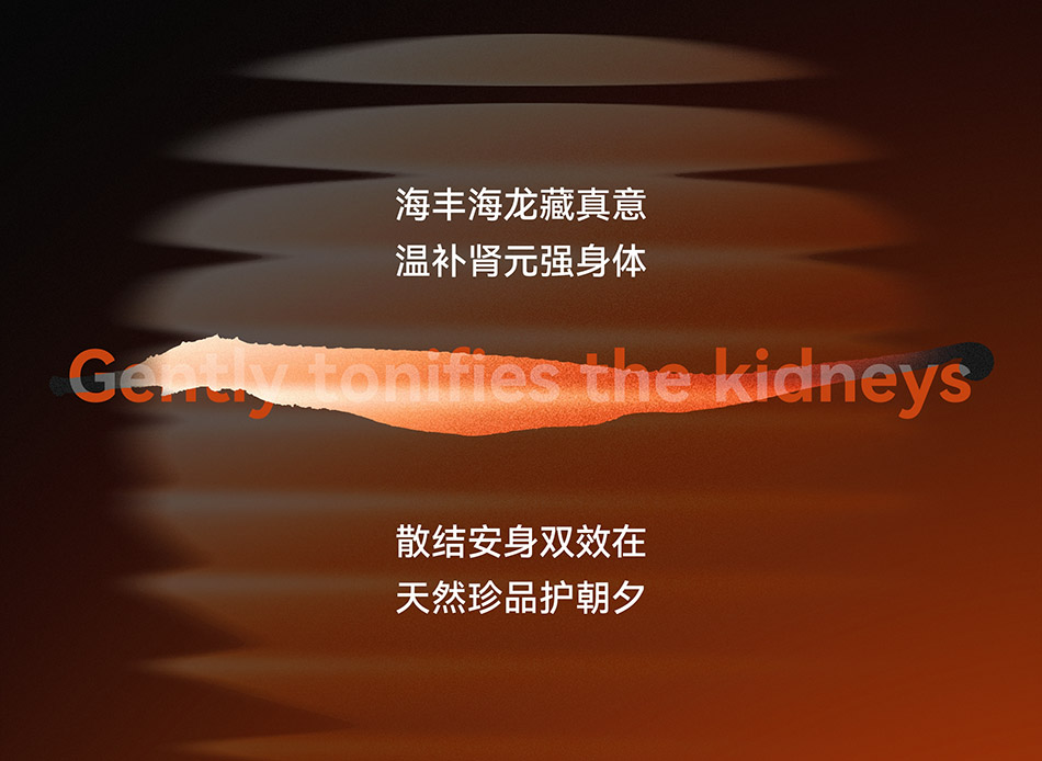 宏洛图|金海龙胶囊国风海报,体现温补肾元产品核心功效表达