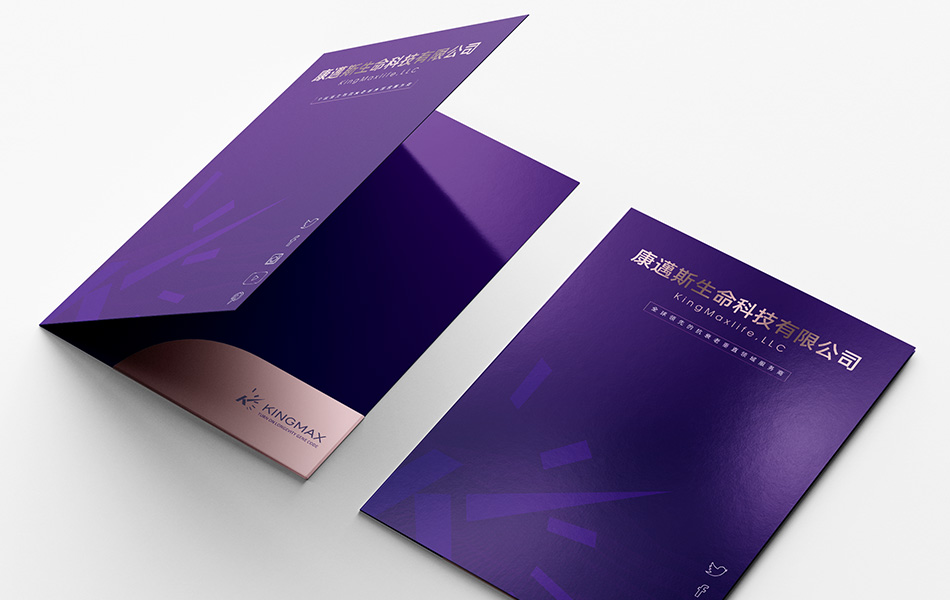 宏洛图 KINGMAX 宣传画册设计,紫调镭射烫金工艺,科技感品牌物料包装创意