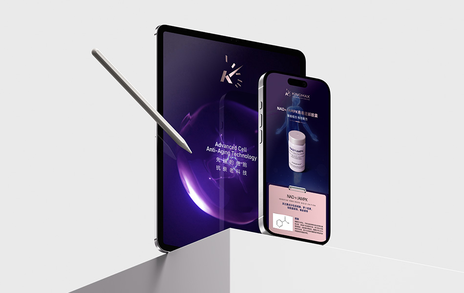 宏洛图 KINGMAX 平板手机界面设计,抗衰产品图文,科技风数字物料包装创意